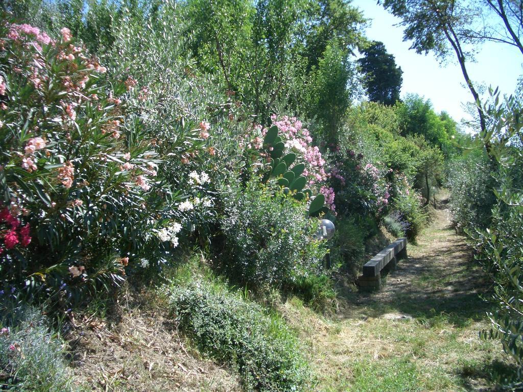 Gli Oleandri Konuk evi Castelfiorentino Dış mekan fotoğraf